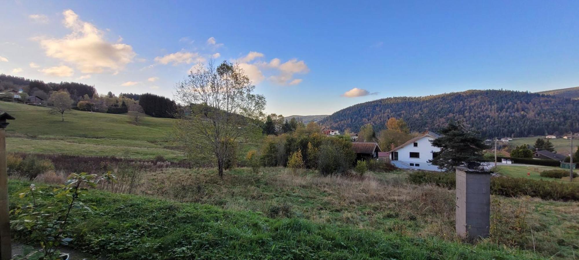 Le Petit Sapin Lägenhet Xonrupt-Longemer Exteriör bild